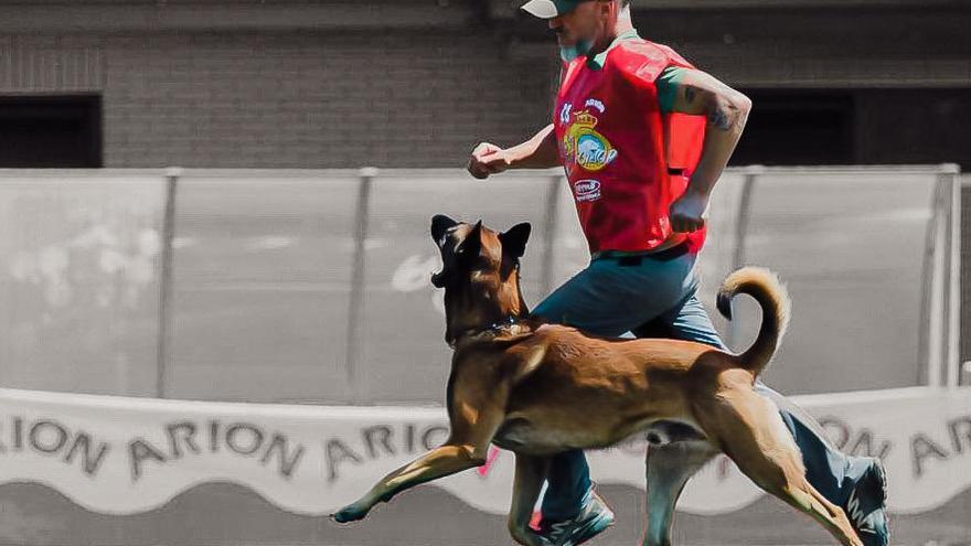 Un desfile de perros de adiestramiento abre este martes el &#039;Campeonato Mundial FCI-IGP&#039; en Vitoria-Gasteiz