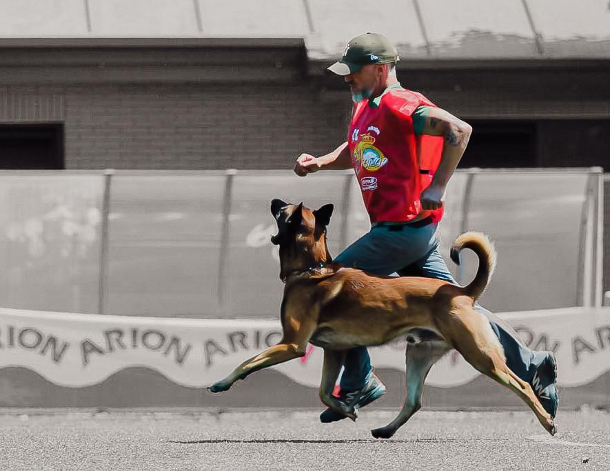 Vitoria acoge del 15 al 21 de septiembre el Mundial de Perros de Trabajo con 150 canes &quot;de élite&quot;
