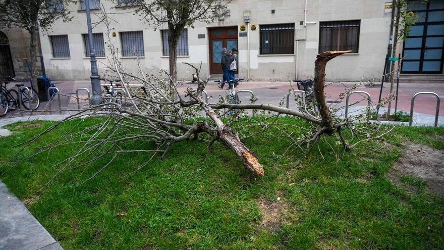 La ciclogénesis explosiva causada por la borrasca ‘Ciarán’ barre Álava de oeste a este
