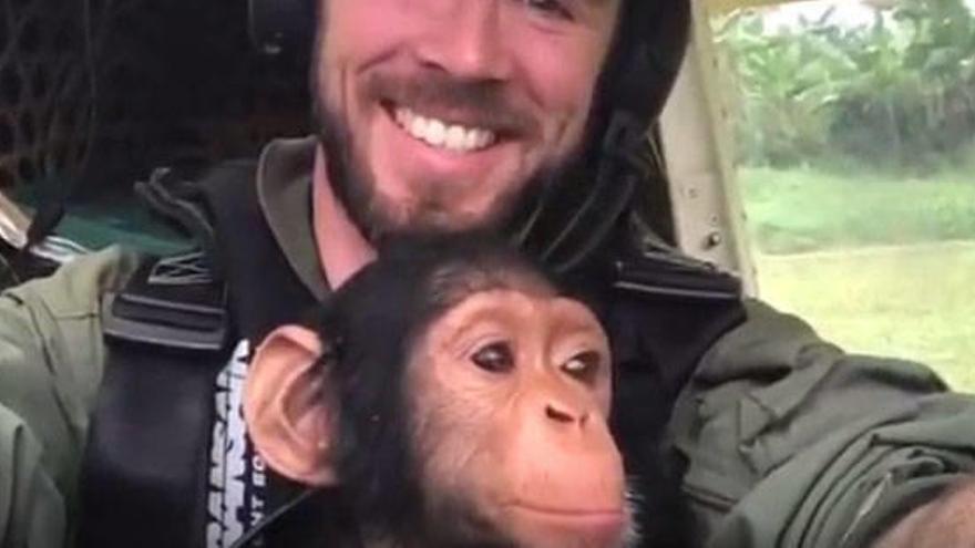 Una cría de chimpancé sobrevuela el Congo de copiloto en una avioneta.