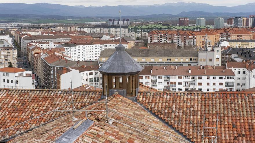 Vitoria despliega un plan para proteger a los animales que anidan en los edificios de la ciudad