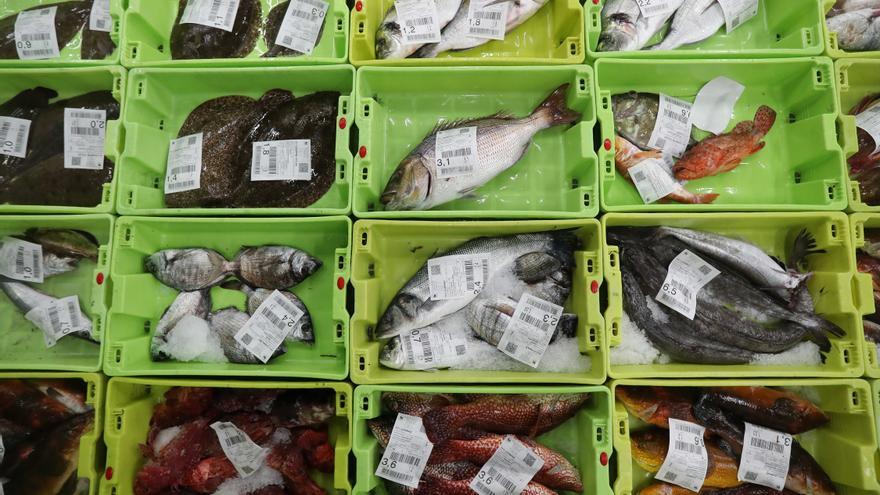 Detectan pescado con residuos de medicamentos procedente de robos en piscifactorías