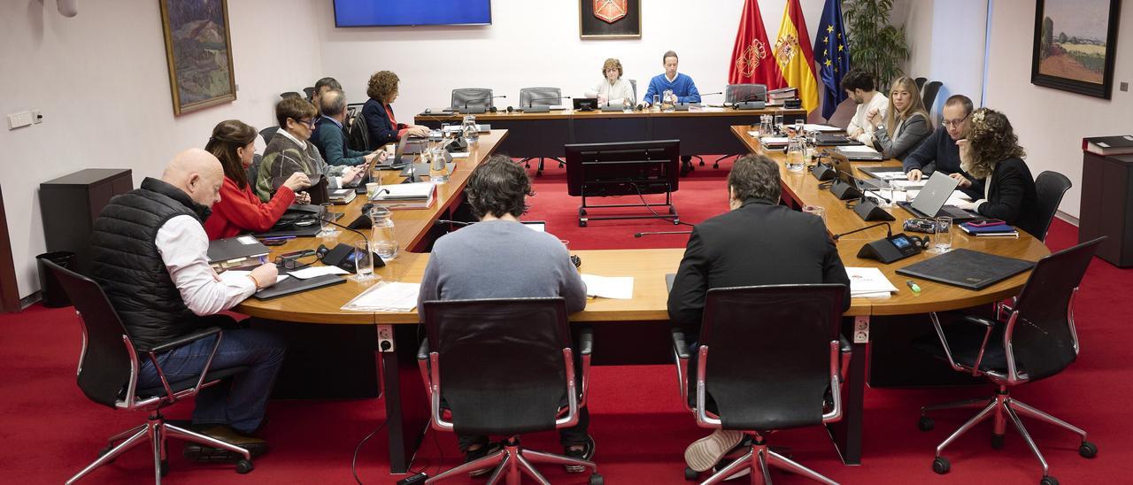 Fotos de la comisión de Economía y Hacienda del Parlamento de Navarra