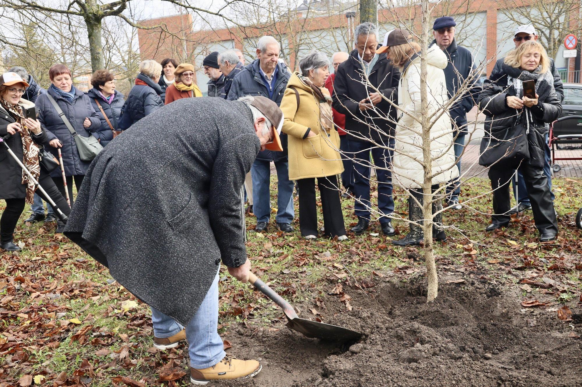 En imágenes: Un árbol para 25 años de lucha contra el párkinson en Vitoria