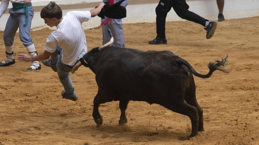 En imágenes: Las vaquillas reinan en el Iradier Arena
