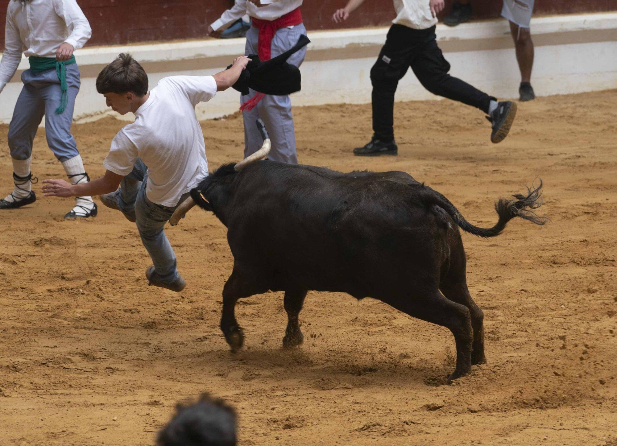 Eb imágenes: Las vaquillas reinan en el Iradier Arena
