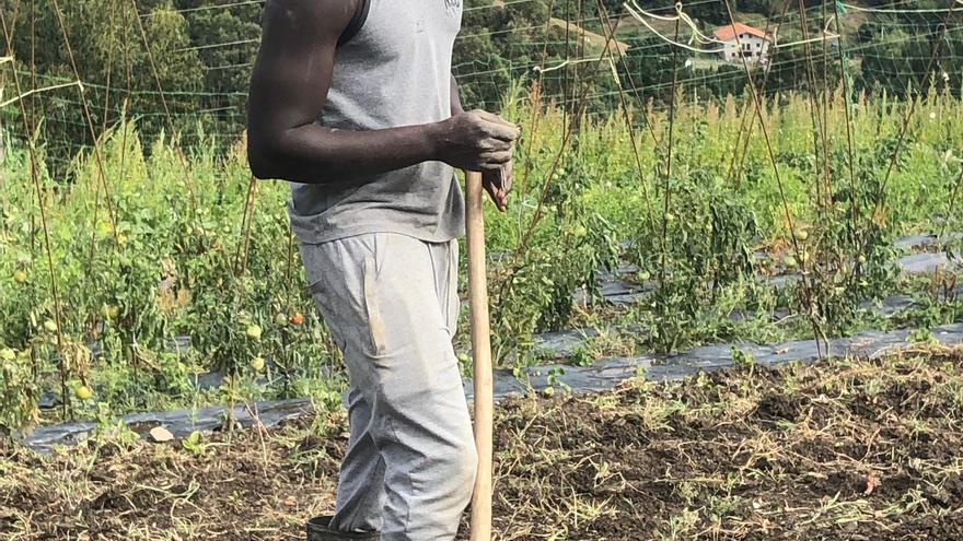 El proyecto extiende sus raíces en Urdaibai