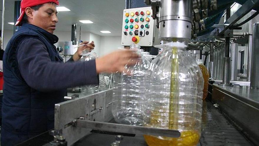 Un trabajador, en la línea de envasado de aceite en Ablitas.