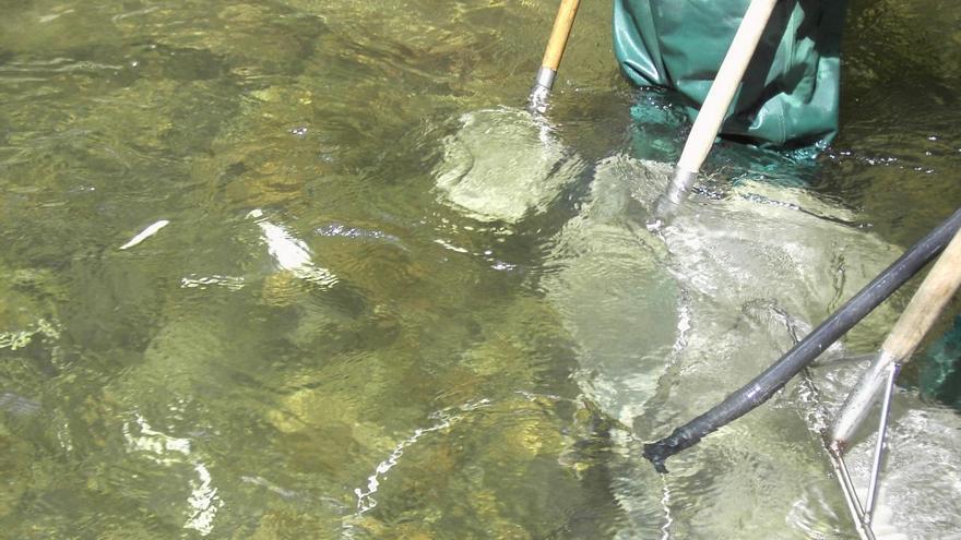 Medio Ambiente subvencionará la contratación de guardas de pesca