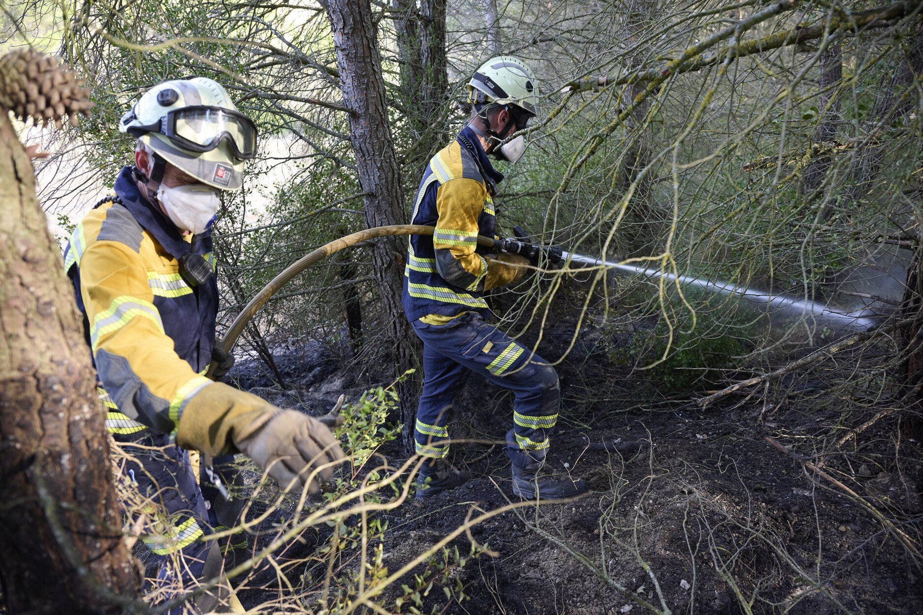 Imágenes de la zona afectada por el incendio en Enériz