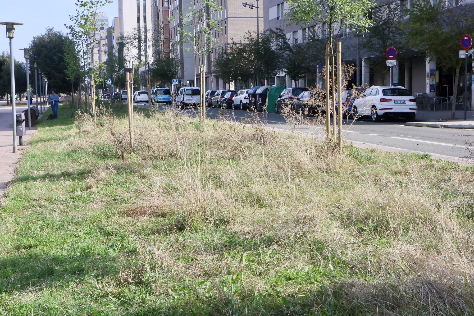 En imágenes: Vitoria-Gasteiz se prepara para adecentar el verde de la ciudad