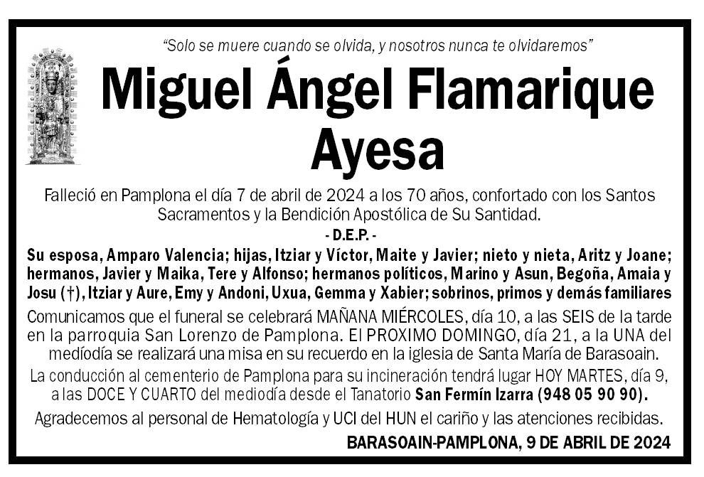 Miguel Ángel Flamarique Ayesa