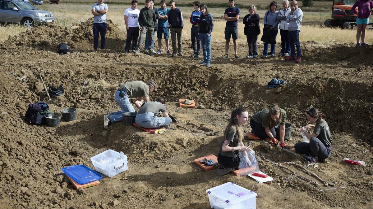 Trabajos de exhumación en Muniáin de Guesálaz.