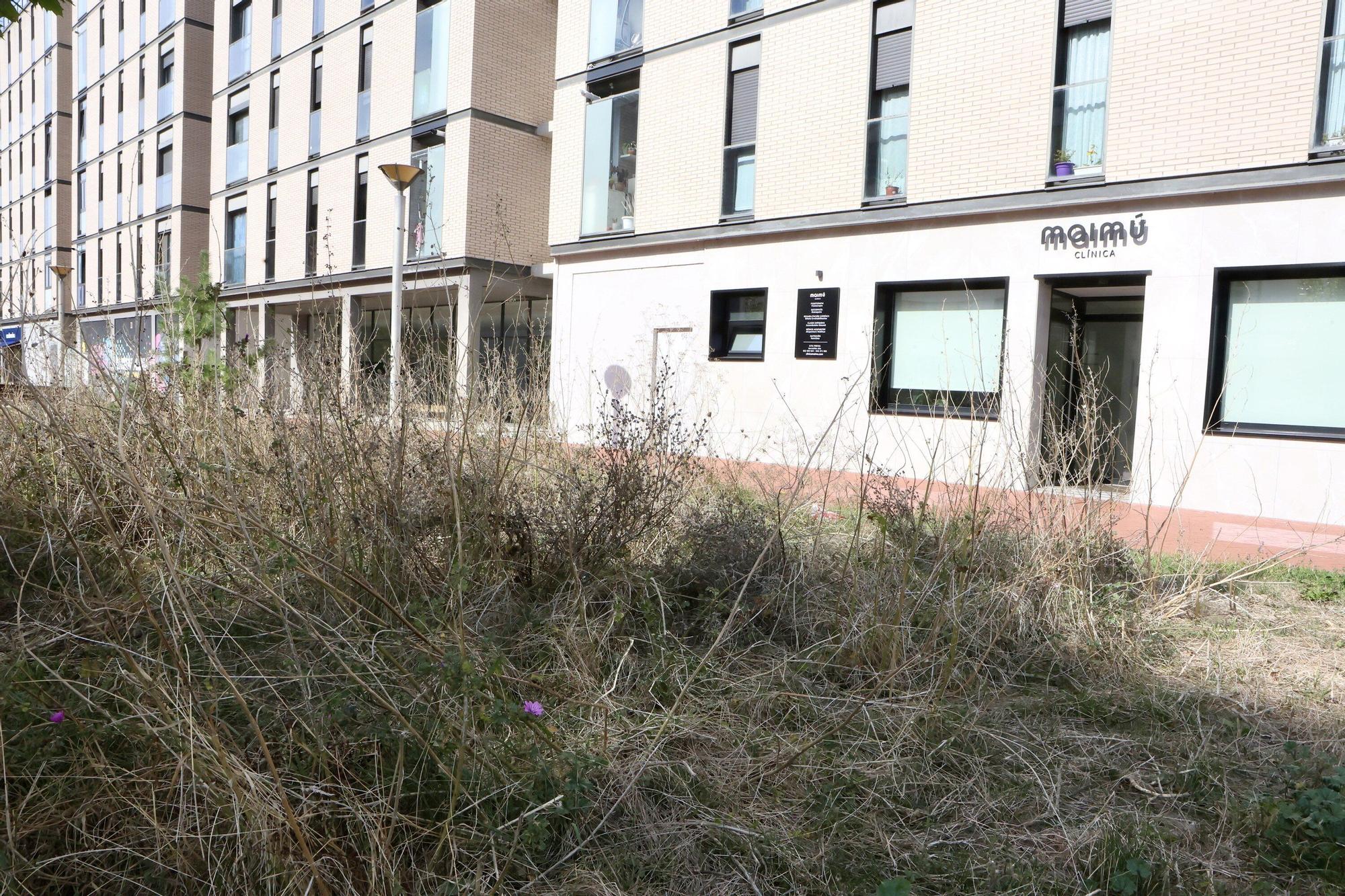 En imágenes: Vitoria-Gasteiz se prepara para adecentar el verde de la ciudad