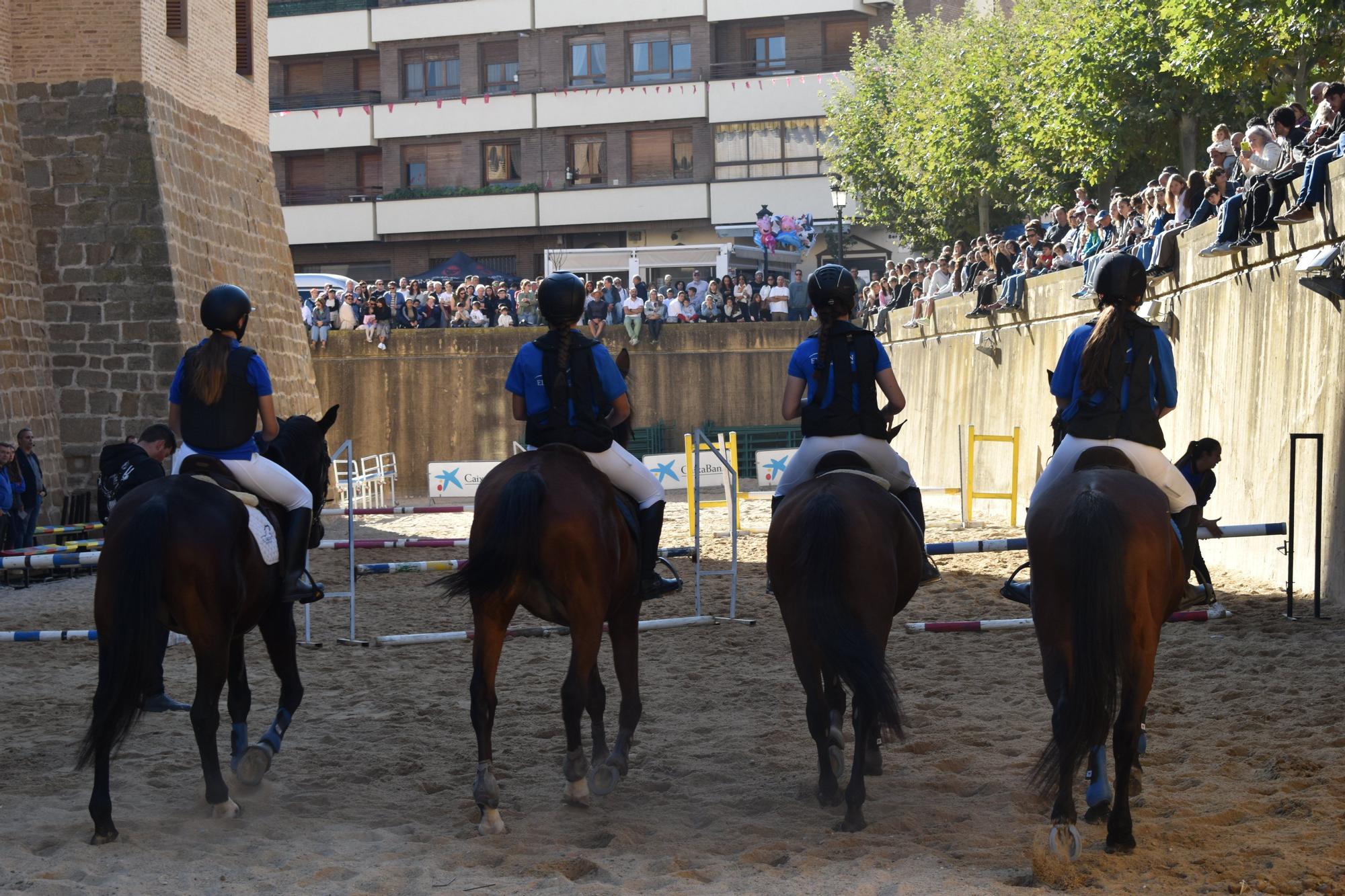 Fotos de las Ferias de Marcilla 2025