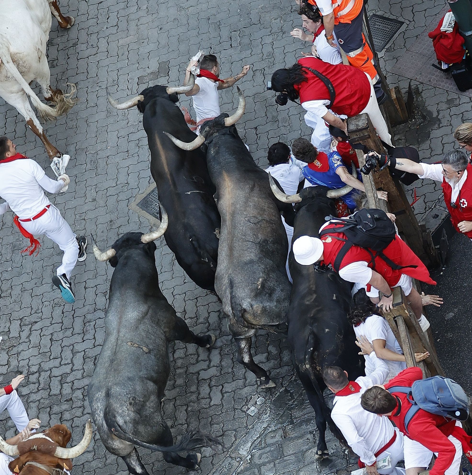 Fotos del octavo encierro de San Fermín con toros de Miura