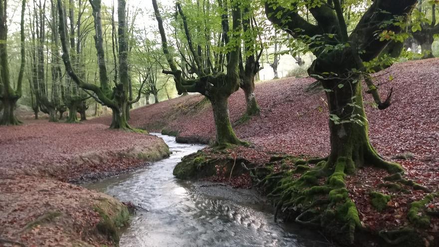 Otzarreta, abundancia de arcoíris