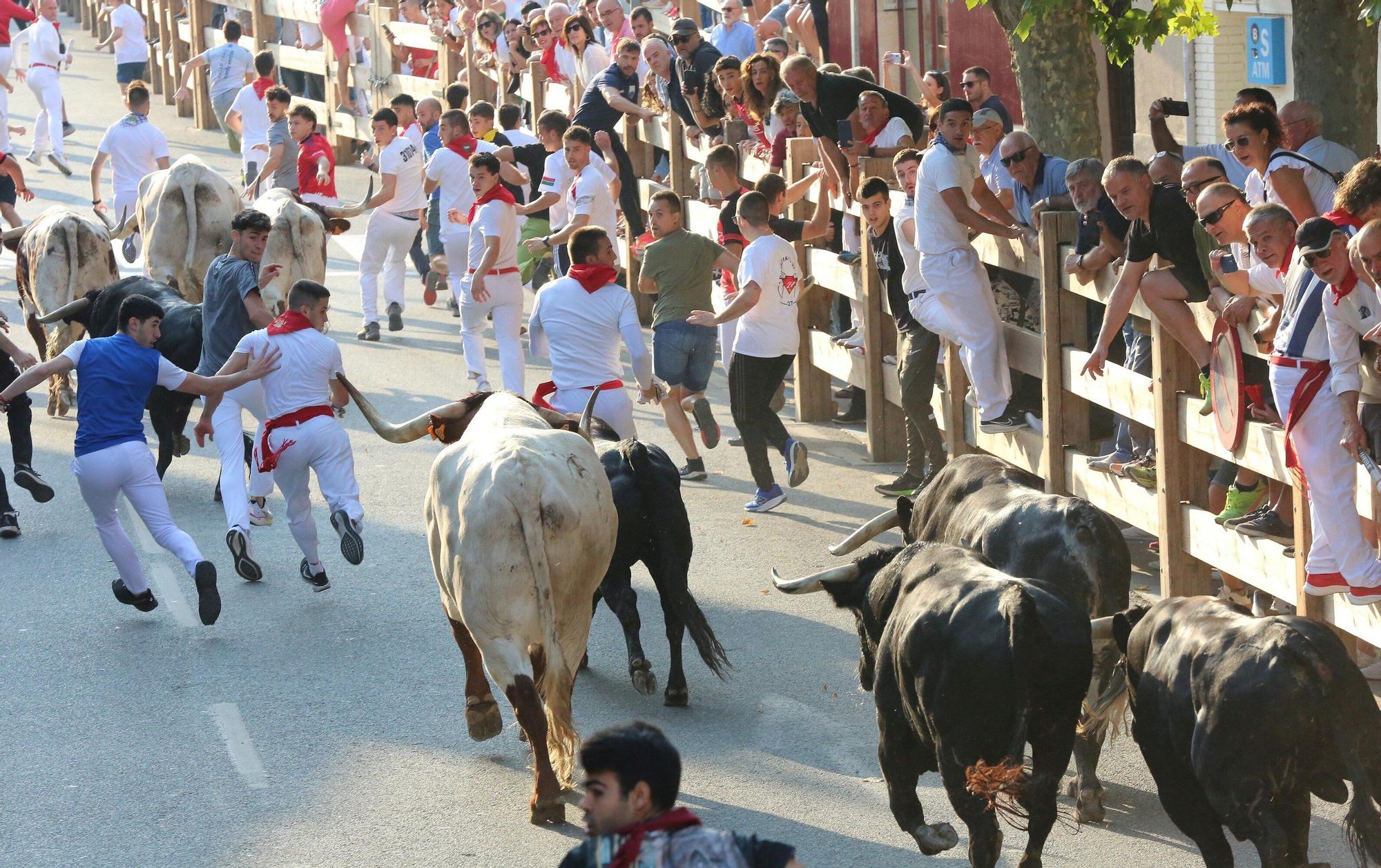 Fotos del primer encierro de fiestas de Tafalla