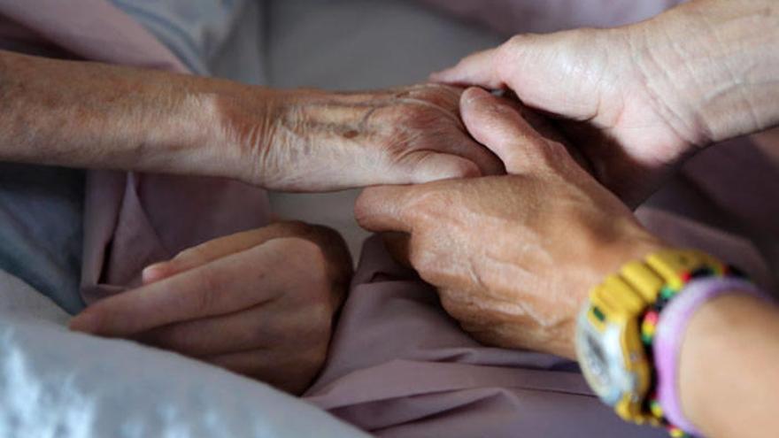 Identifican tres categorías de genes implicados en el desarrollo del Alzheimer