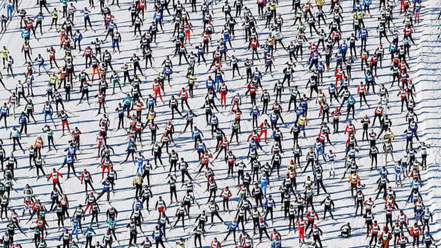 &#039;Pulgas&#039; deportistas sobre la nieve