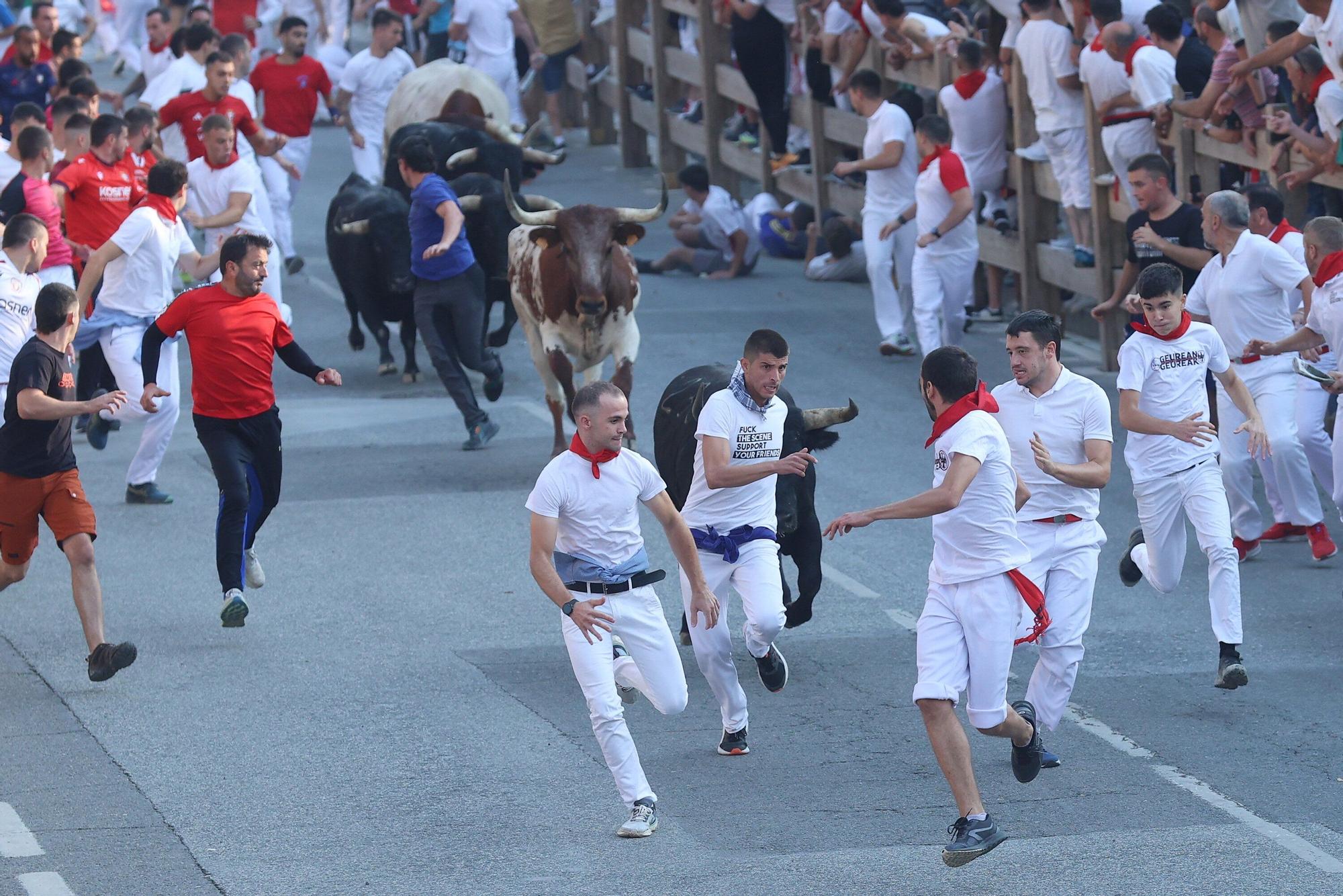Fotos del segundo encierro de fiestas de Tafalla 2025