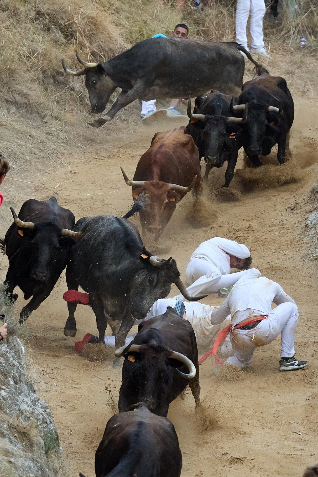 Fotos del tercer encierro del Pilón de Falces 2025