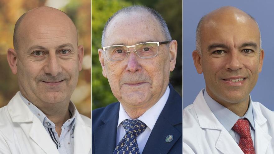 Investigadores de la Universidad de Navarra descubren un nuevo parásito en la sardina común