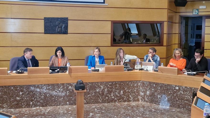 La diputada foral Amaia Antxutegi, durante su comparecencia en las Juntas Generales
