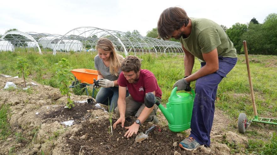 Las nuevas generaciones: la gran oportunidad del agro de Bizkaia