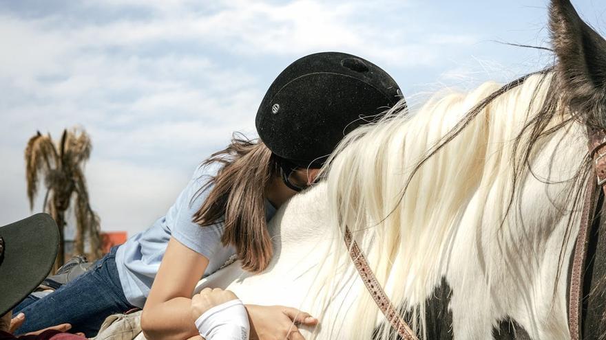 Terapias asistidas con animales: perros que nos curan