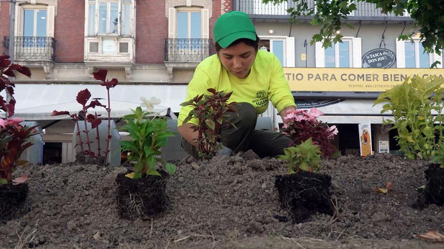 Las zonas verdes del centro de la Pamplona se recuperan tras los Sanfermines