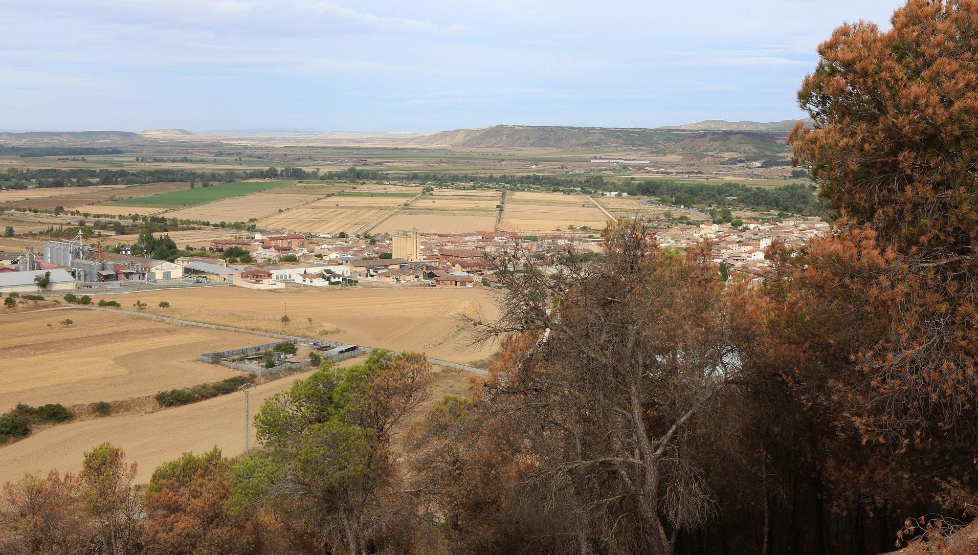 Así han quedado los montes afectados por el incendio de Carcastillo