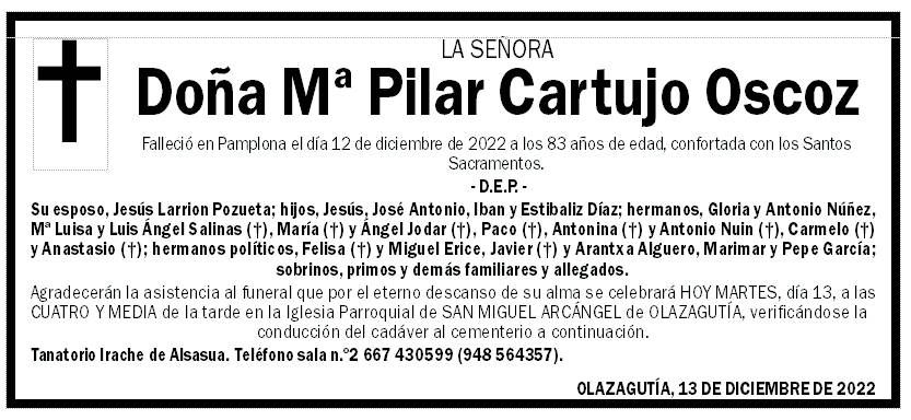 Mª Pilar Cartujo Oscoz