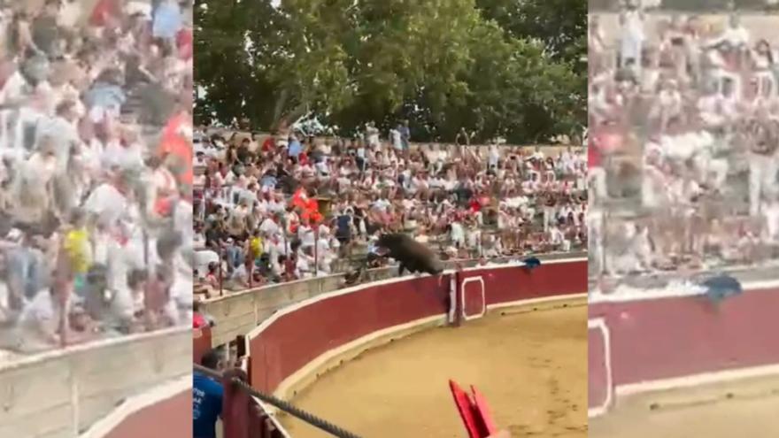 Un toro saltarín en el II Concurso de Recortadores por Comunidades Ciudad de Tafalla