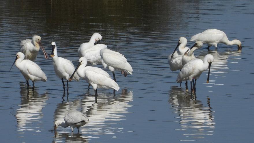 Euskadi cuenta con una red de monitorización del suelo pionera para evaluar la biodiversidad