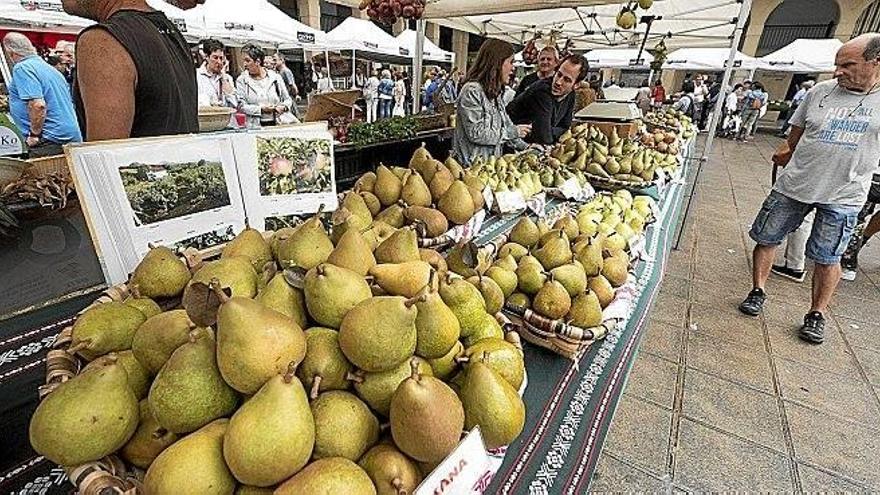 El puesto de Maddi Iradi, de Hernani, fue uno de los más visitados durante toda la jornada de ayer, donde expuso las mejores frutas de su cosecha.