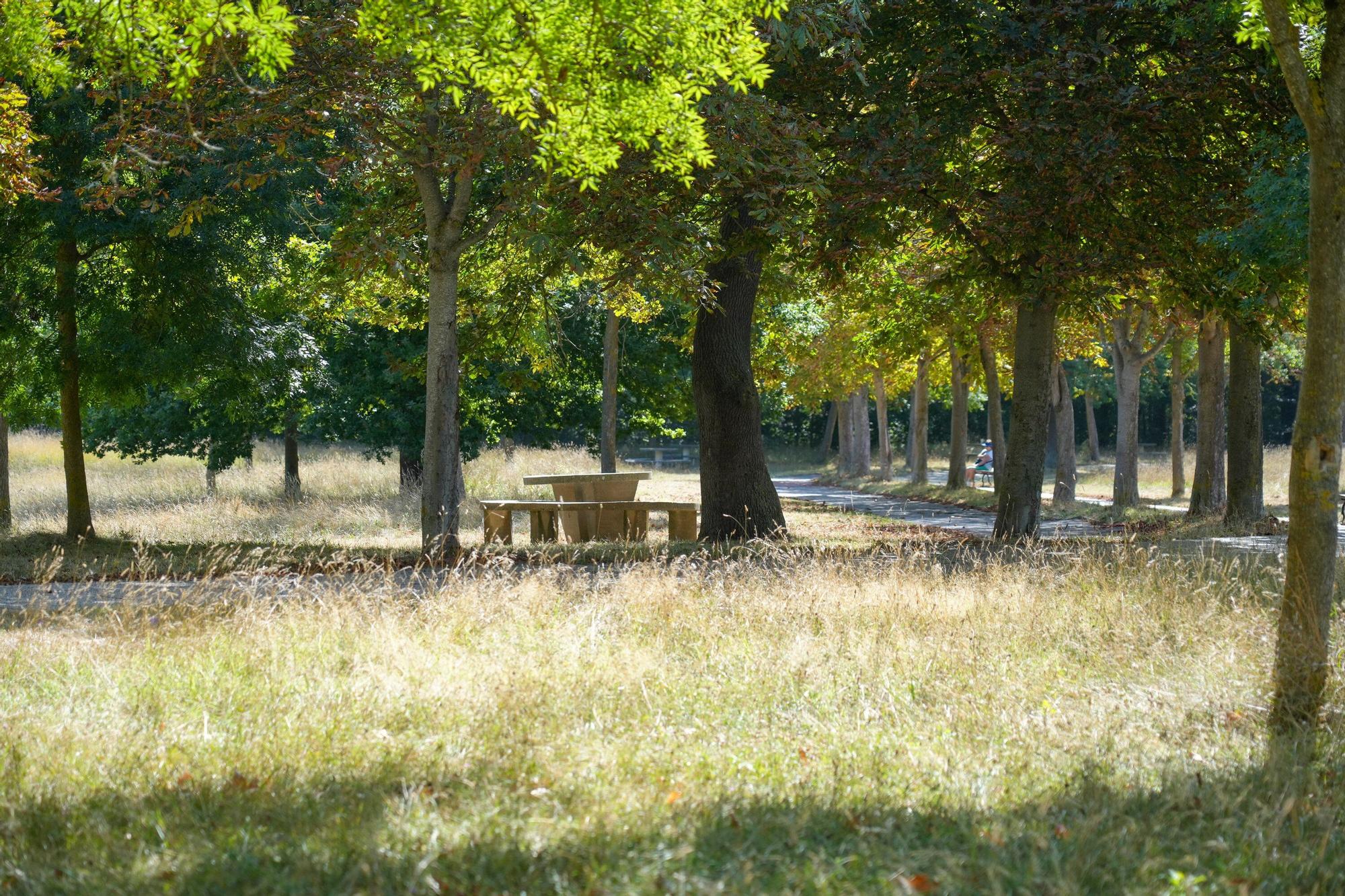 Así luce la campa de Olarizu tras 5 meses de huelga de jardineros
