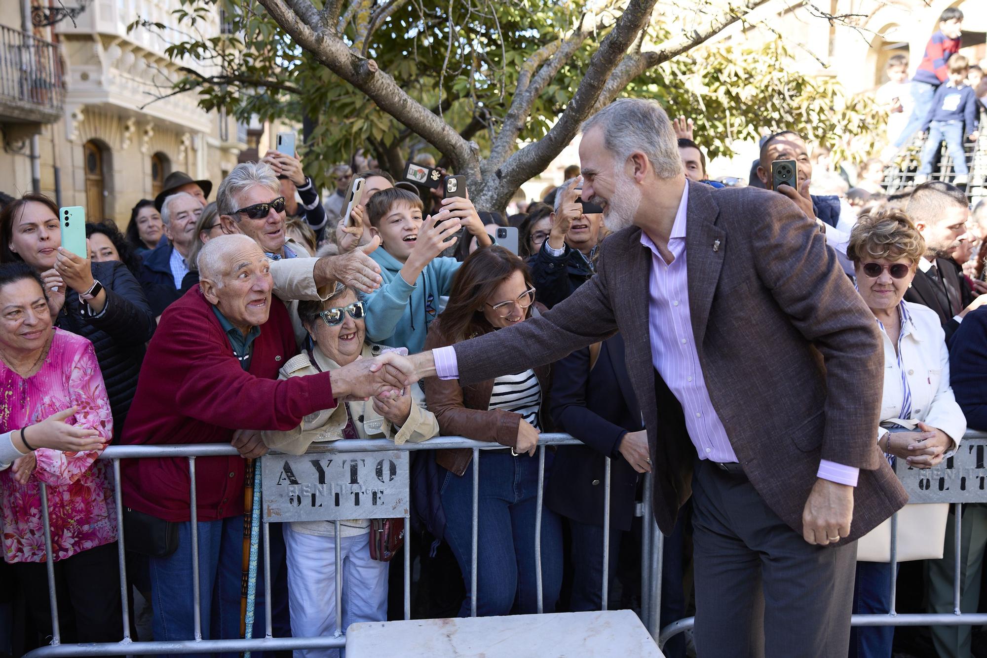 Fotos de la visita de los Reyes a Olite y Tudela