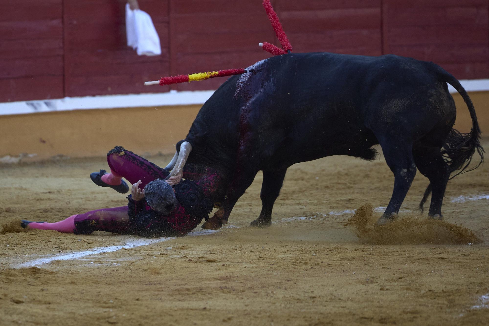 Fotos de la corrida de toros en Tudela con toros de Garzón Valdenebro