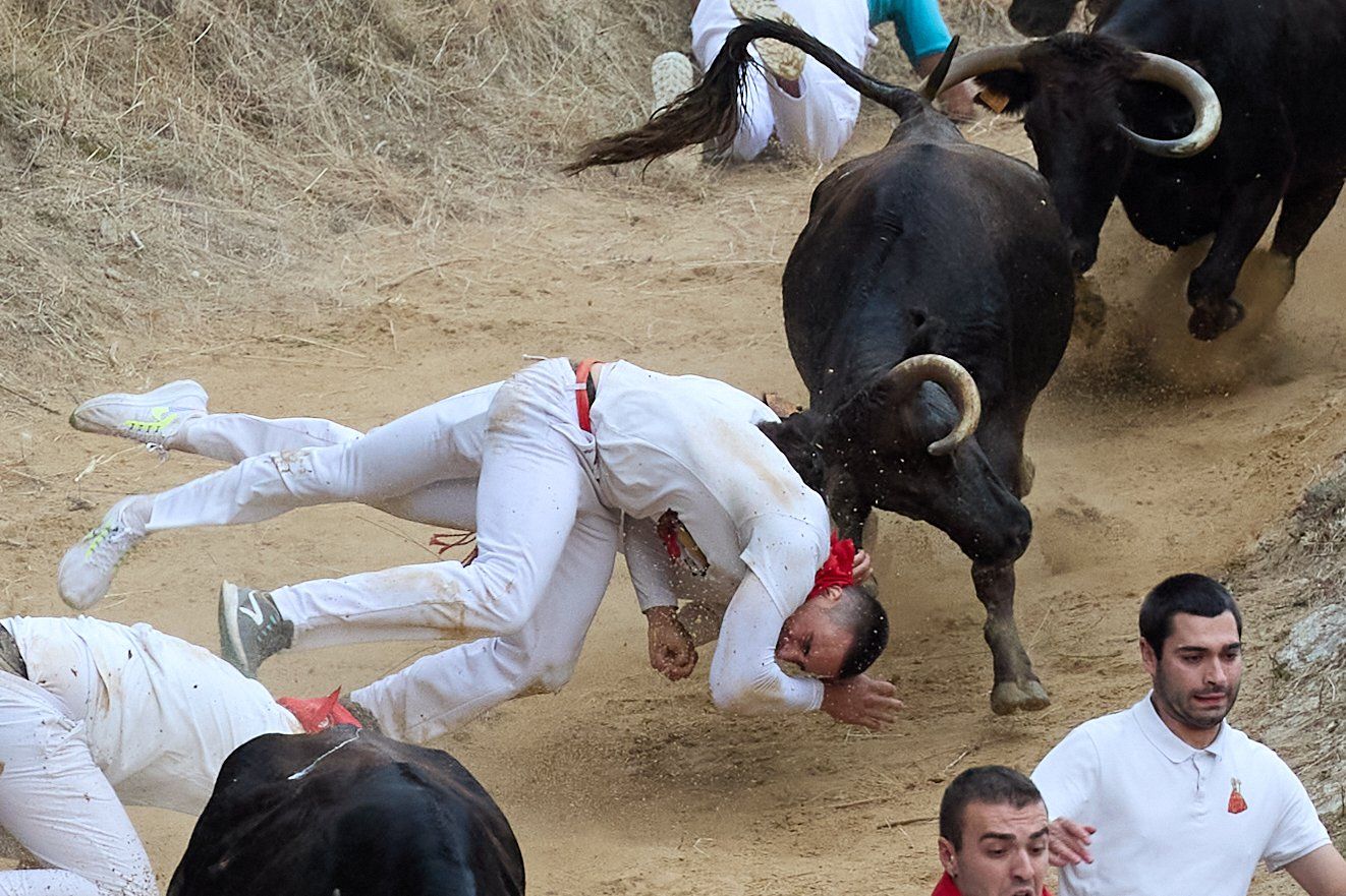 Fotos del tercer encierro del Pilón de Falces 2025