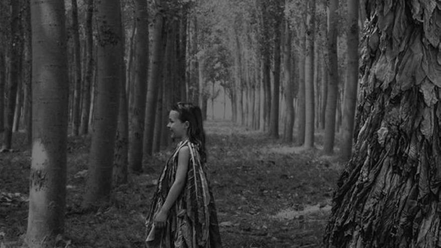 Zinema Gaur vuelve a Montehermoso con el cine contemporáneo que está marcando tendencia