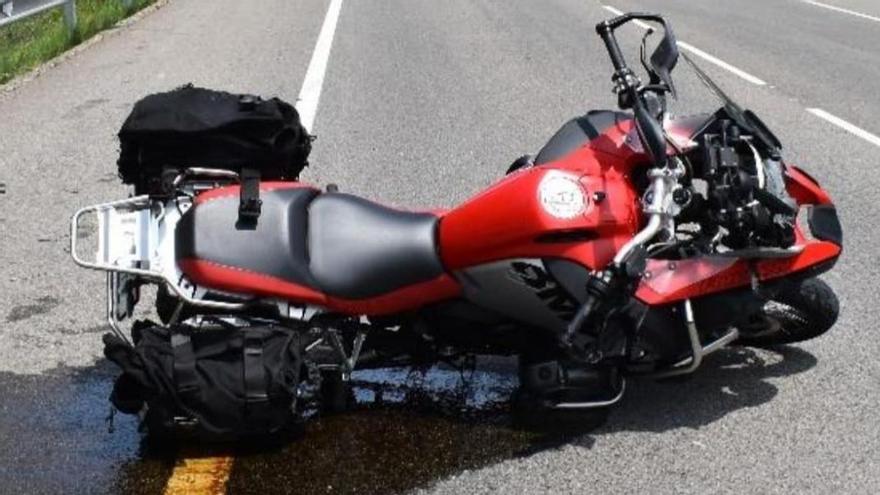 Herido grave un motorista tras atropellar a un ave rapaz en Tudela