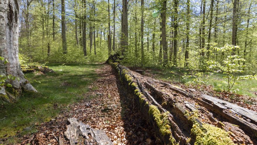 Cohesión Territorial destina 190.000 euros para proyectos asociados al Plan del Pirineo