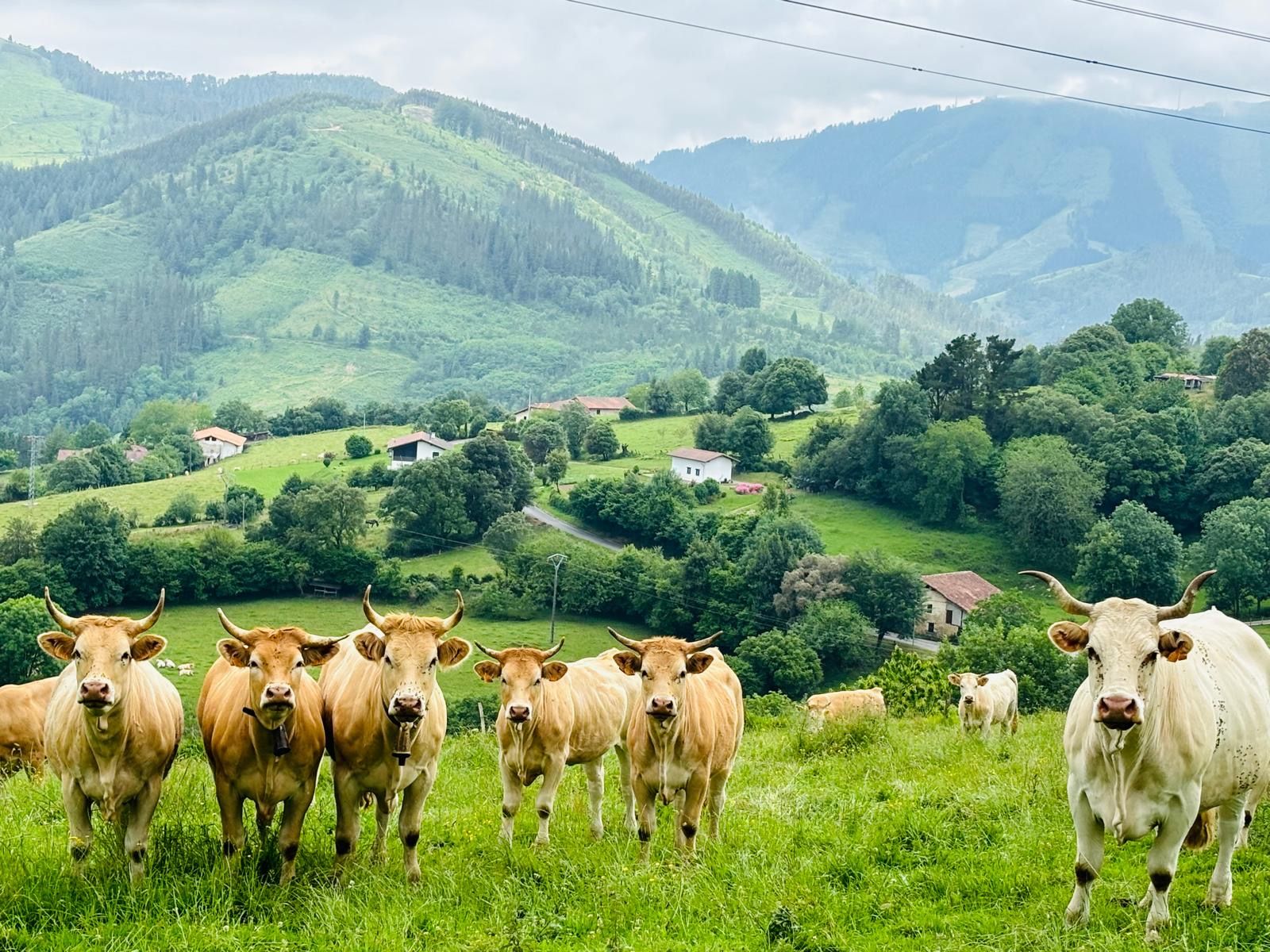 Iturreta Markina Xemein