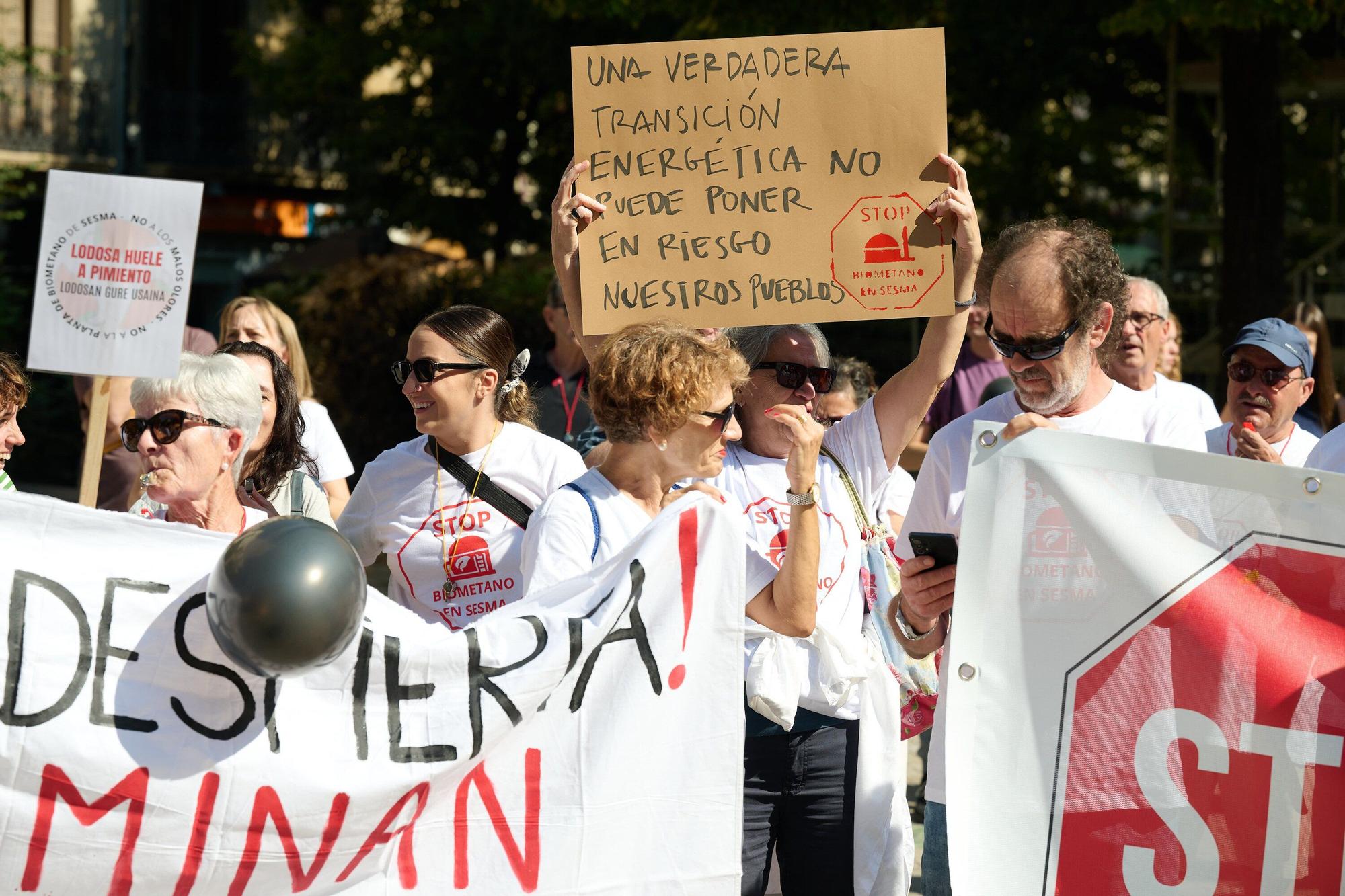 Concentración frente al Parlamento contra la central de biometano de Sesma