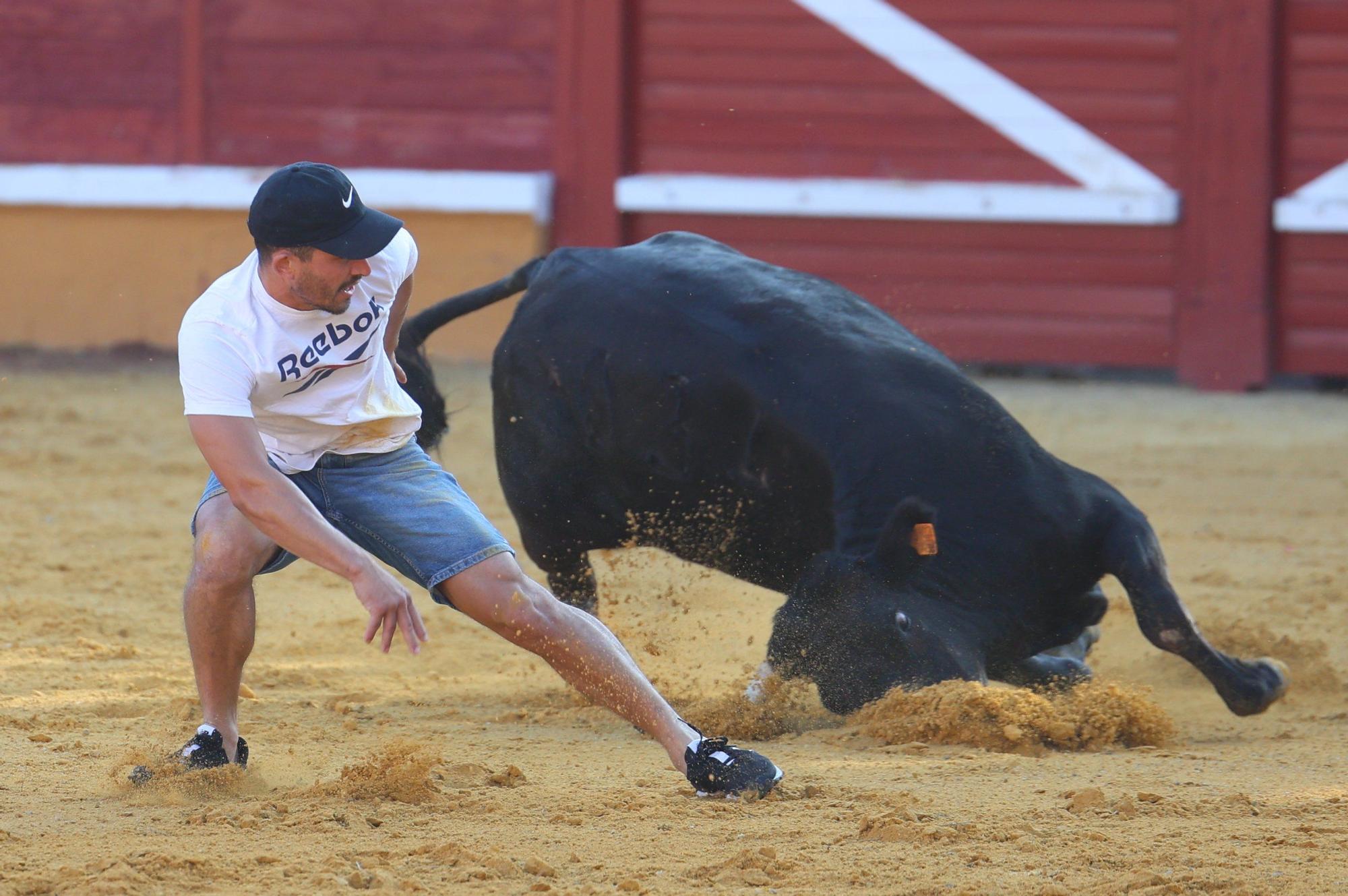 Revolcón de un mozo en las vaquillas de Tudela