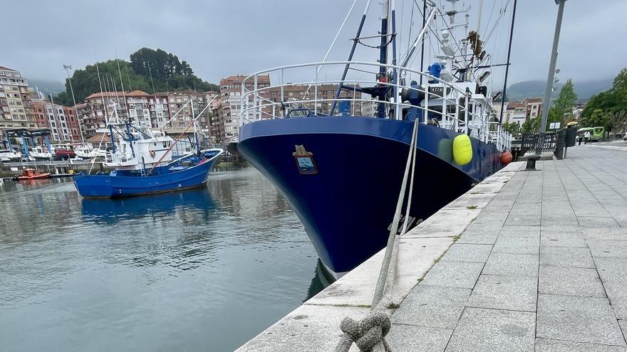 Arranca la campaña de bonito