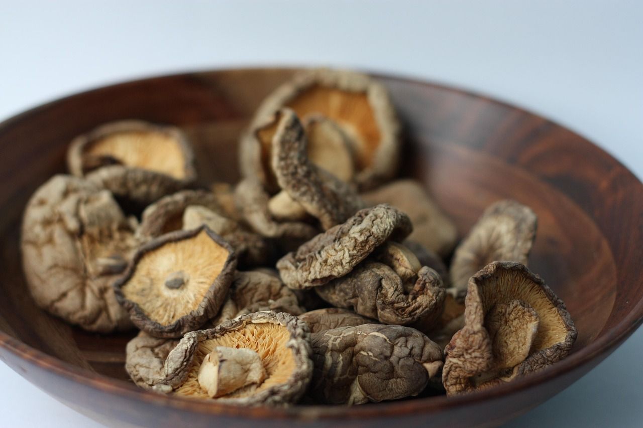 Setas Shiitake secas
