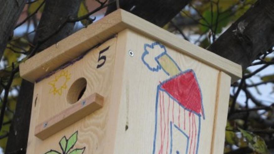 La curiosa iniciativa de bienestar animal del Ayuntamiento de Getxo para este sábado