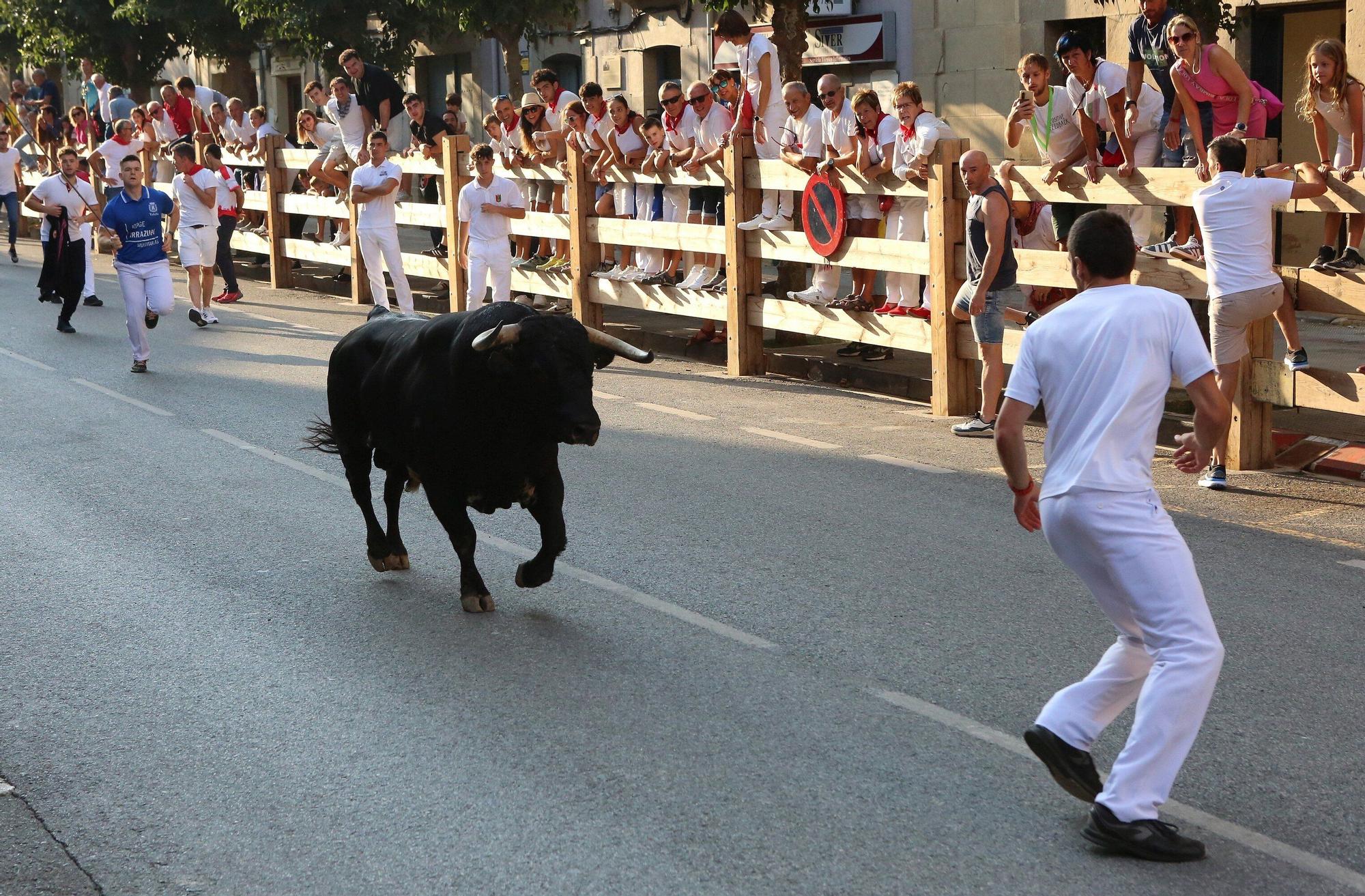 Fotos del primer encierro de fiestas de Tafalla